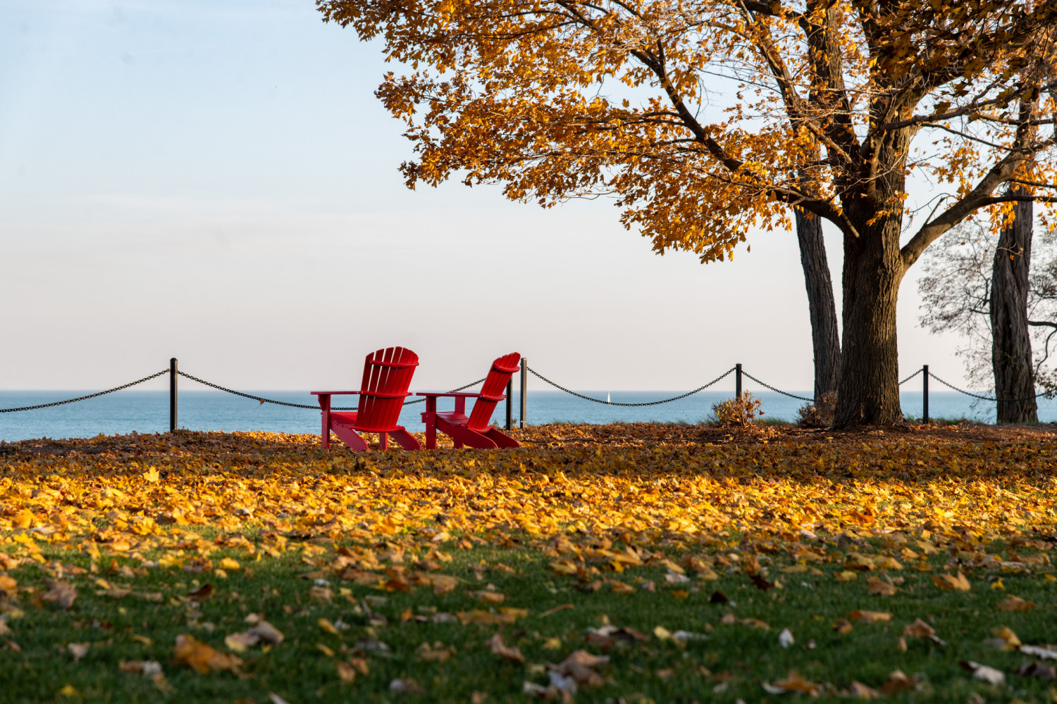 Our Midwest location means Carthage students get to enjoy all four seasons. Many students will say fall is their favorite.