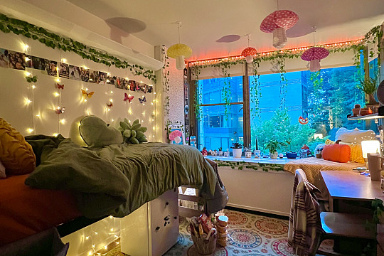 Dorm room decorating ideas. Stephanie Majer '25
