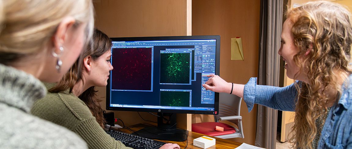 A professor helping two students on a computer.