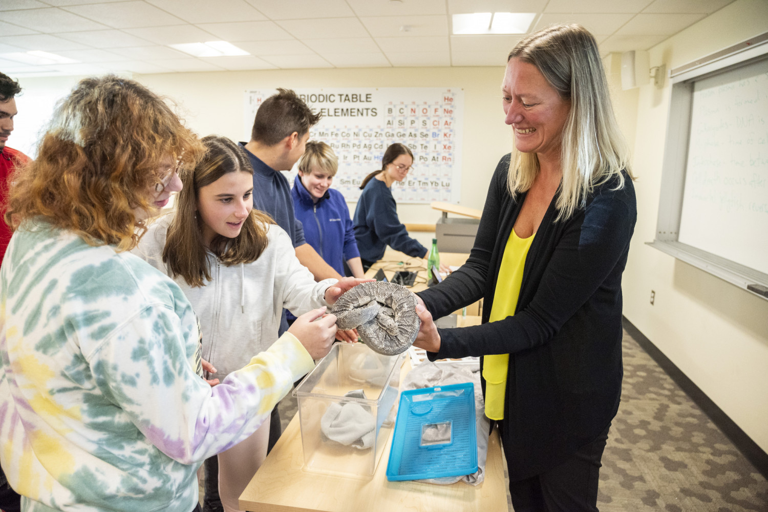 Professor Angela Dassow (biology)
