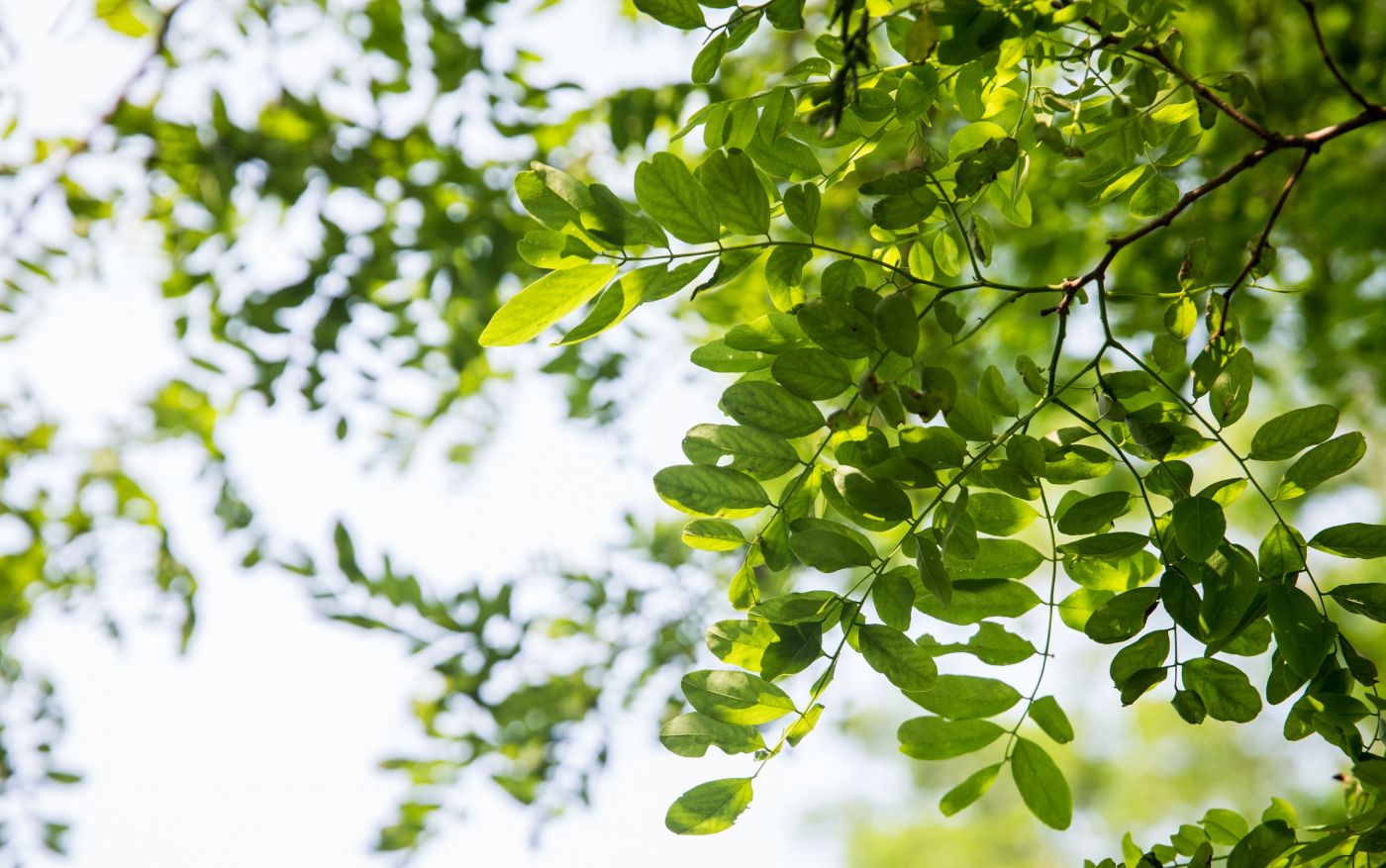 Admissions events background