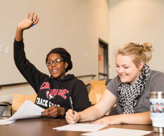 Student raising their hand in a classroom.