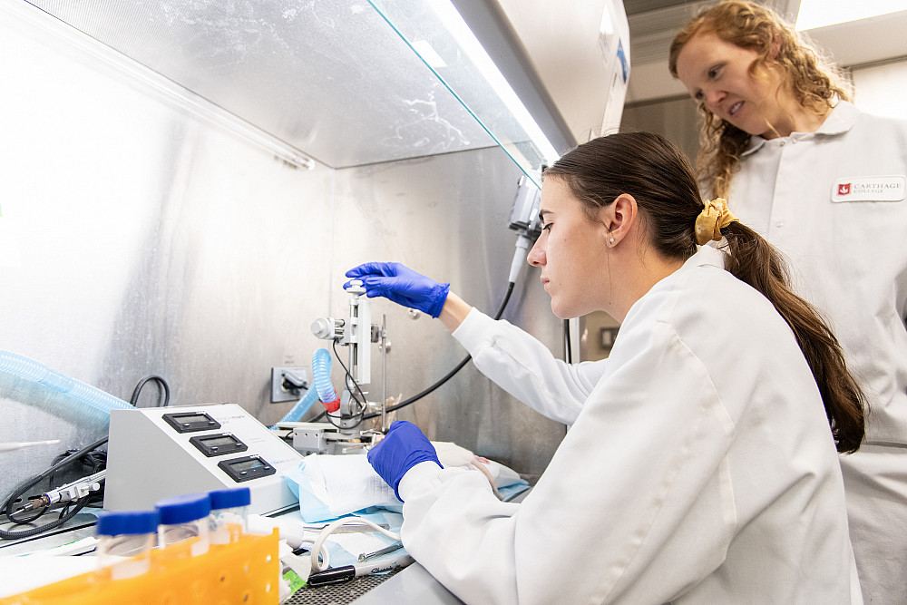 Neuroscience Rat Lab