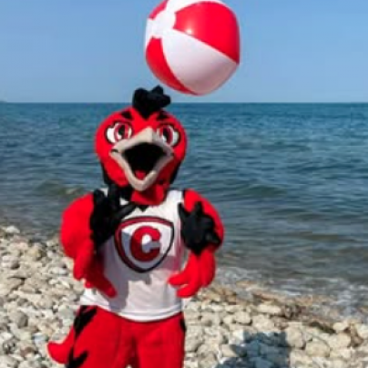 Ember tosses a beach ball near Lake Michigan
