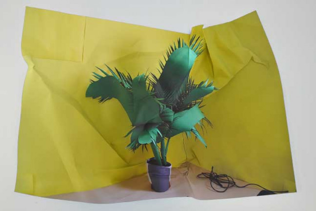 Poor Monica!, by Tricia Holt. Digital photographic print on adhesive backed polypropylene; 30” x 40.