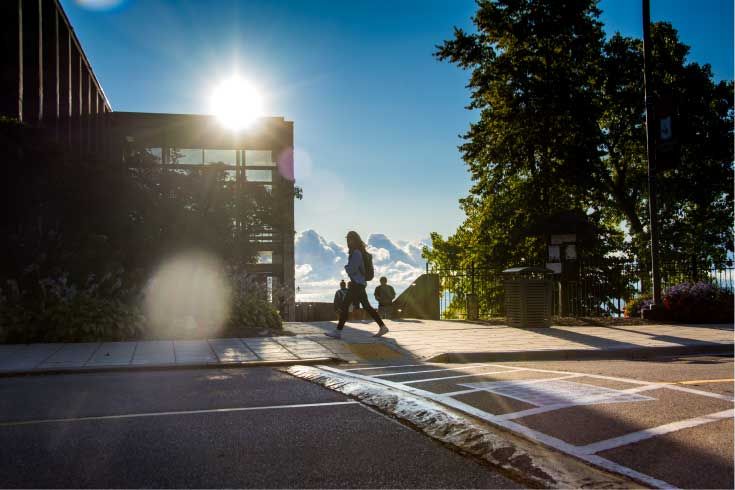 Students walk down Campus Drive on the way to class.