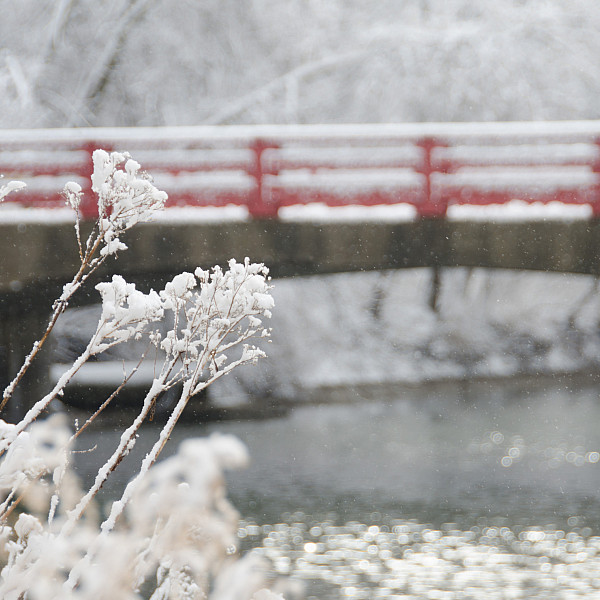 The red bridge in the winter