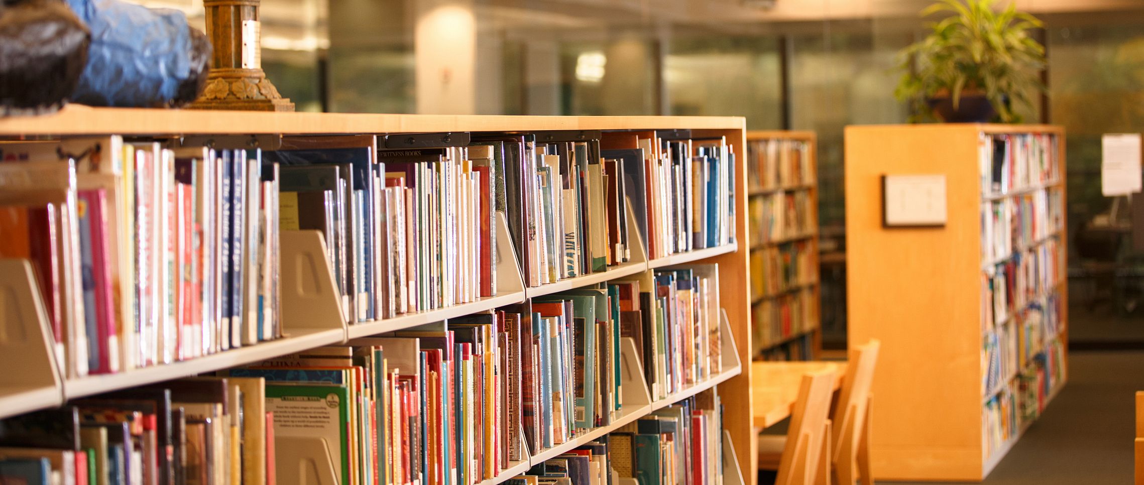 The Center for Children's Literature at Carthage College supports teaching and learning related to children's and young adult literature....